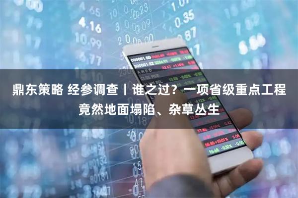 鼎东策略 经参调查丨谁之过？一项省级重点工程竟然地面塌陷、杂草丛生